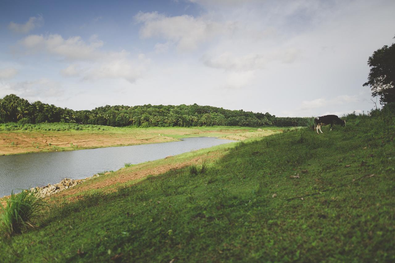 Riverine Springs Wadakkanchery Εξωτερικό φωτογραφία